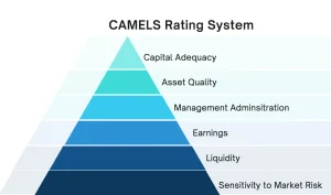 Pyramid diagram of the CAMELS Rating System showing layers from top to bottom: Capital Adequacy, Asset Quality, Management Administration, Earnings, Liquidity, and Sensitivity to Market Risk.